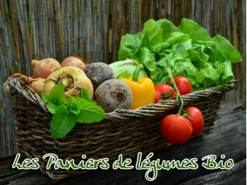 panier-legumes