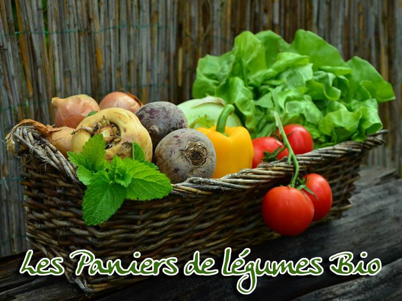 panier-legumes